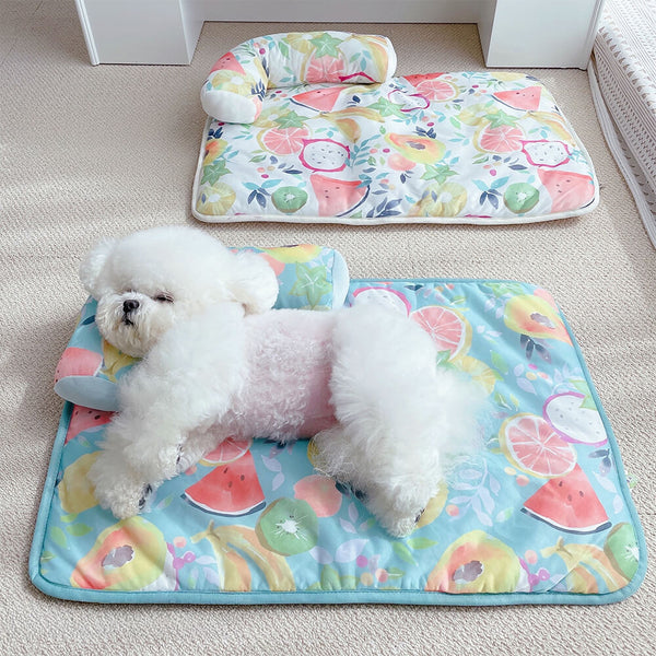 Estampado de frutas enfriando hielo seda de seda y alfombra de gato con almohada