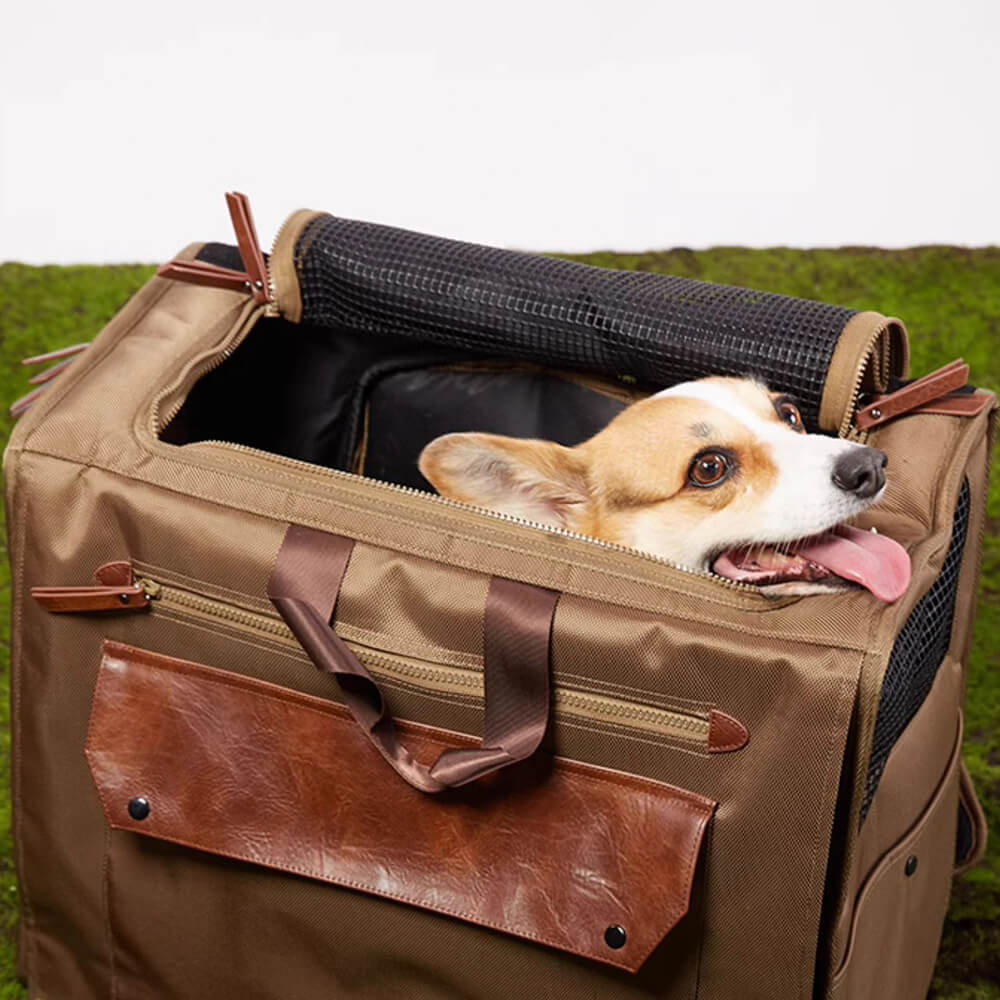 Mochila de mascotas de viaje impermeable a impermeable de Mesh de gran espacio transpirable