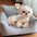 Rustic Corduroy Plaid Patchwork Dog Sofa Bed with Toy
