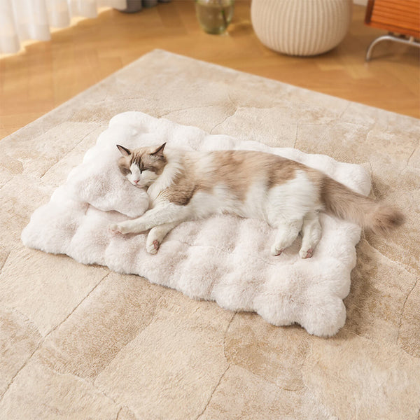 Patrón de ola ultra suave conoux coneño de piel de piel y gato con almohada de mascotas