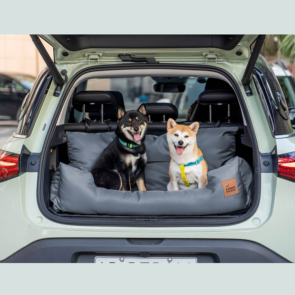 Camino de asiento trasero de carro de seguridad para refuerzo