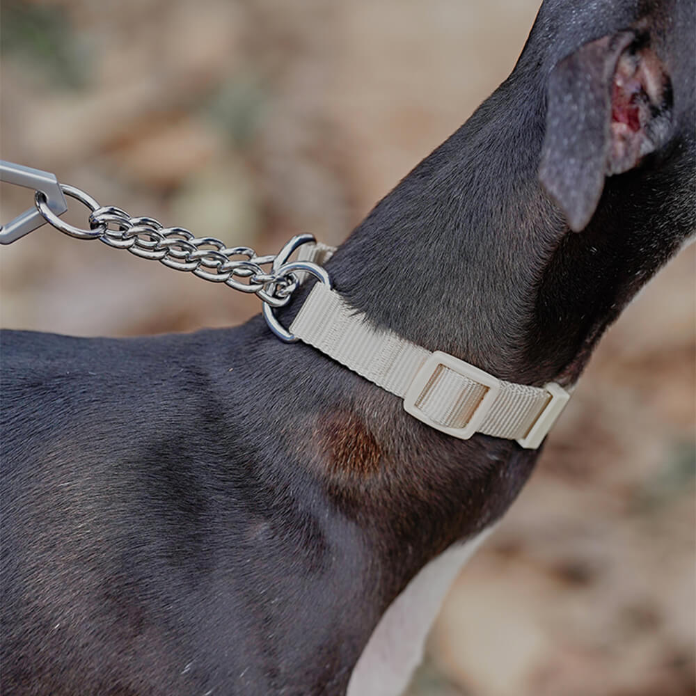 Collier de dressage pour chien Martingale anti-traction Chain Reaction