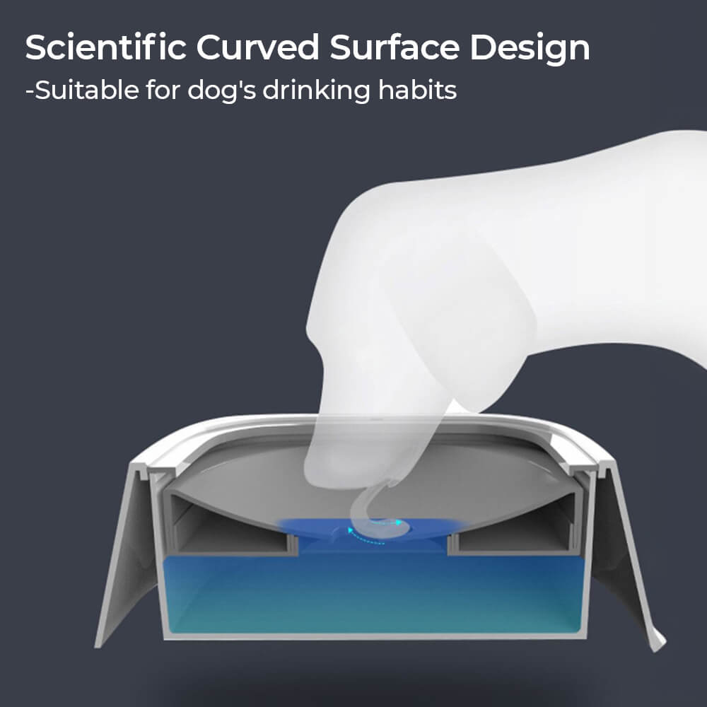 وعاء ماء للكلب بدون انسكاب أثناء السفر مع قرص عائم