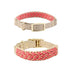 Hand-Woven Leather Multifunctional Anti-Pull Dog Collar and Leash Set