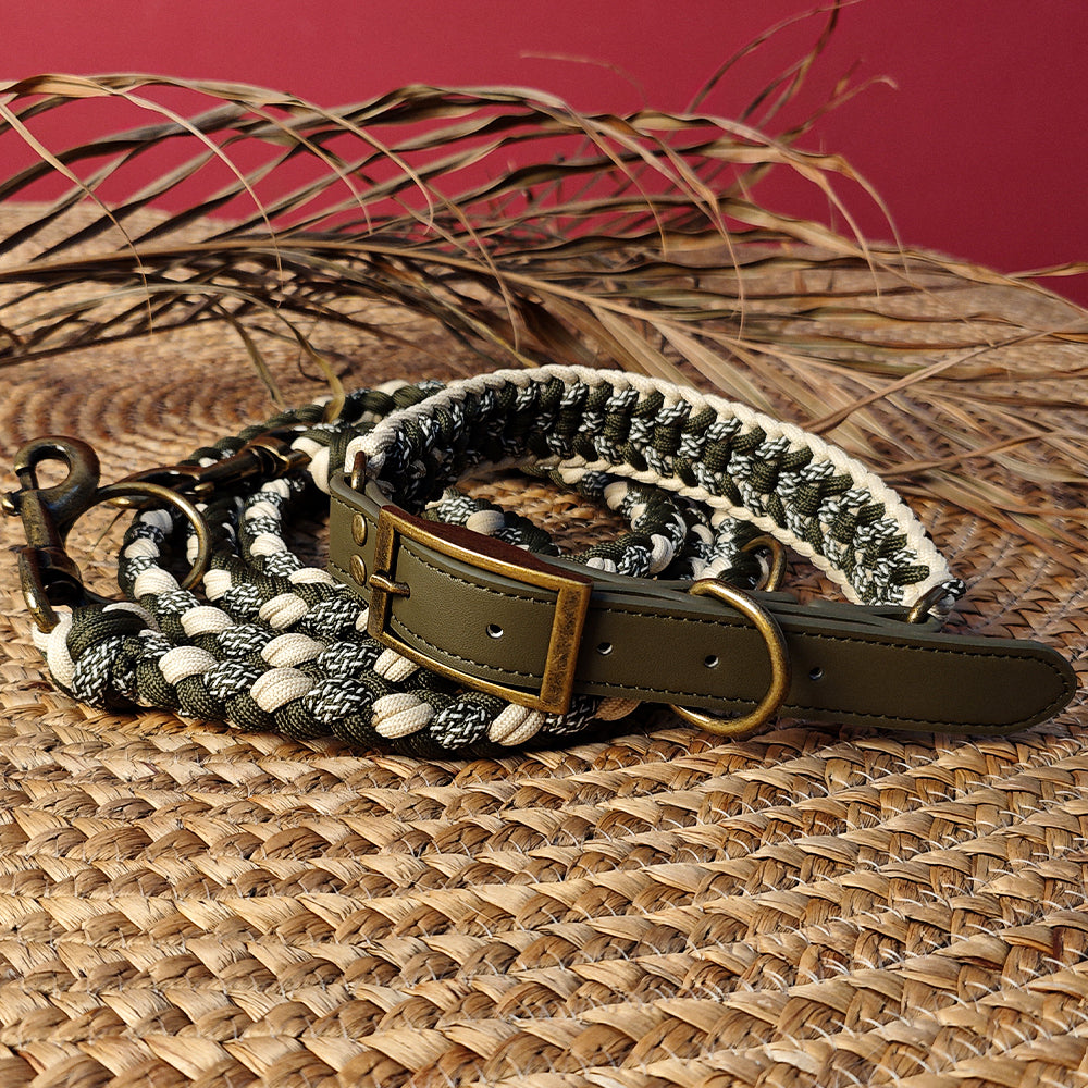 Ensemble collier et laisse pour chien anti-traction multifonctionnel en cuir tissé à la main
