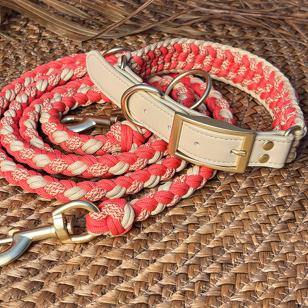 Ensemble collier et laisse pour chien anti-traction multifonctionnel en cuir tissé à la main