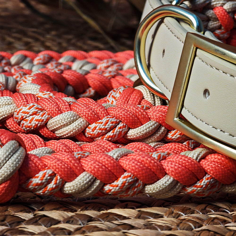 Ensemble collier et laisse pour chien anti-traction multifonctionnel en cuir tissé à la main