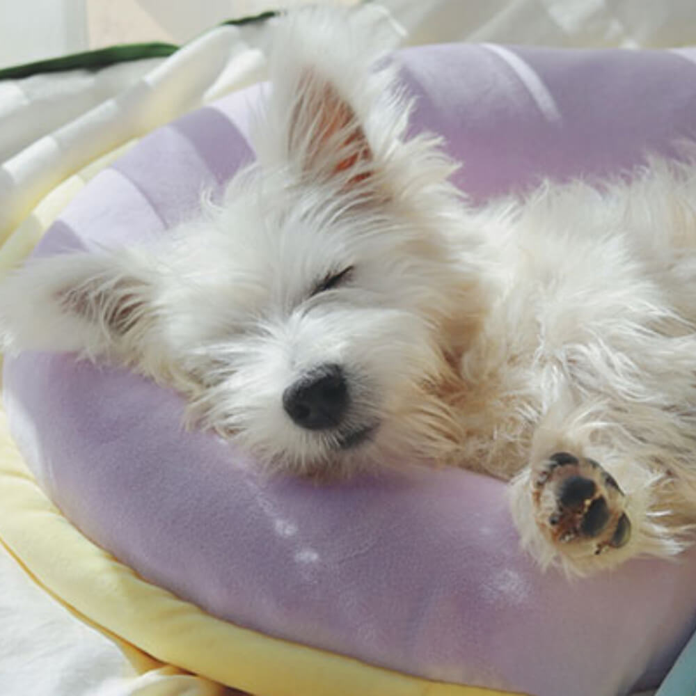 Almohada de almohada ortopédica almohada para perros