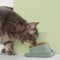 Tazón de alimentación a prueba de derrames de cuello para mascotas