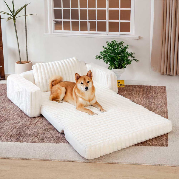 Lenfuga esponjosa grande ortopédico humano-perro Bolster cama de refrescos