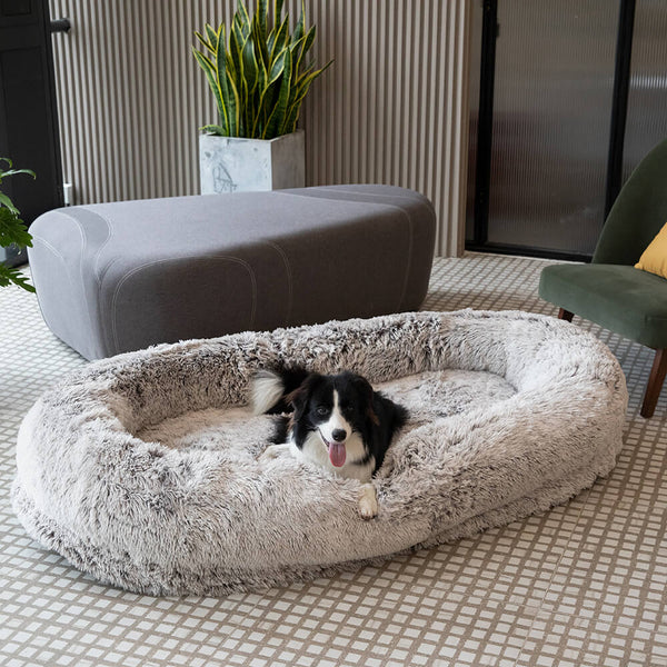 Lenfuga esponjosa grande ortopédico humano-perro Bolster cama de refrescos