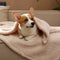 Polar Fleece Comfortable Warm Multifunctional Pet Blanket