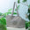 Lightweight Mesh Pet Carrier Bag for Small Dogs & Cats