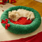 Teddy-Samt-Plüsch, weihnachtlich, festlich, lustig, Haustierbett