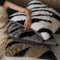 Zebra-Bettlaken-Set aus verdicktem, flauschigem Fell
