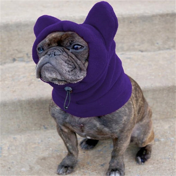 Capucha para perros de vellón con orejas de oso: ropa de invierno divertida y acogedora