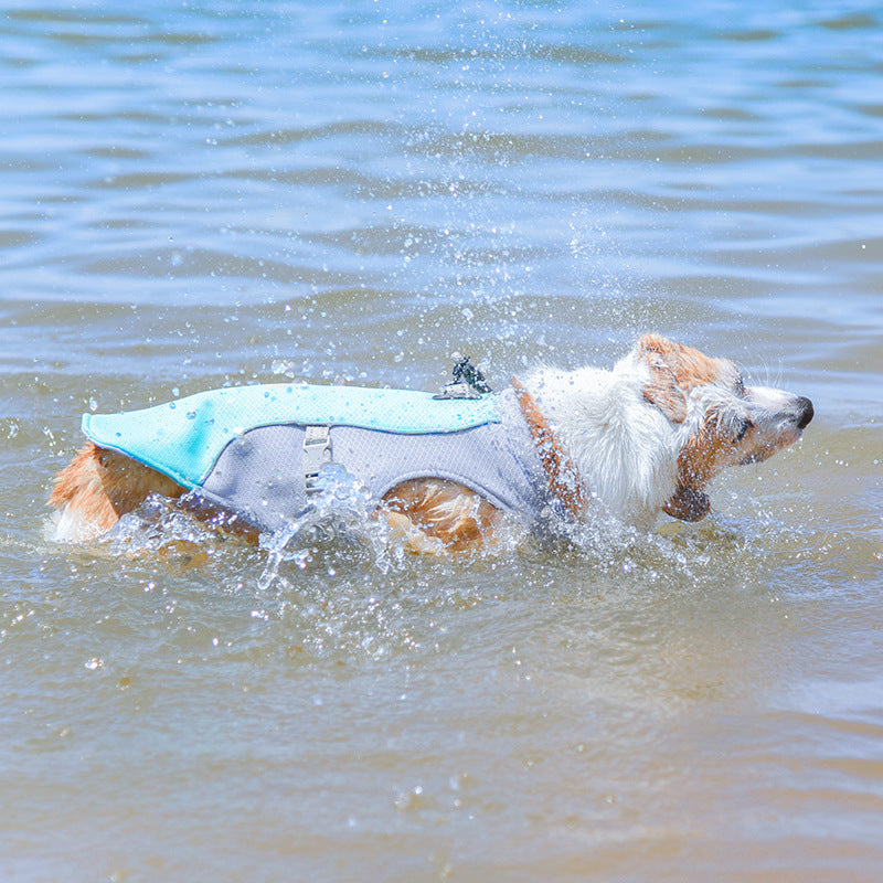 Chaleco transpirable para la prevención de la insolación de agua para el agua de enfriamiento de perros