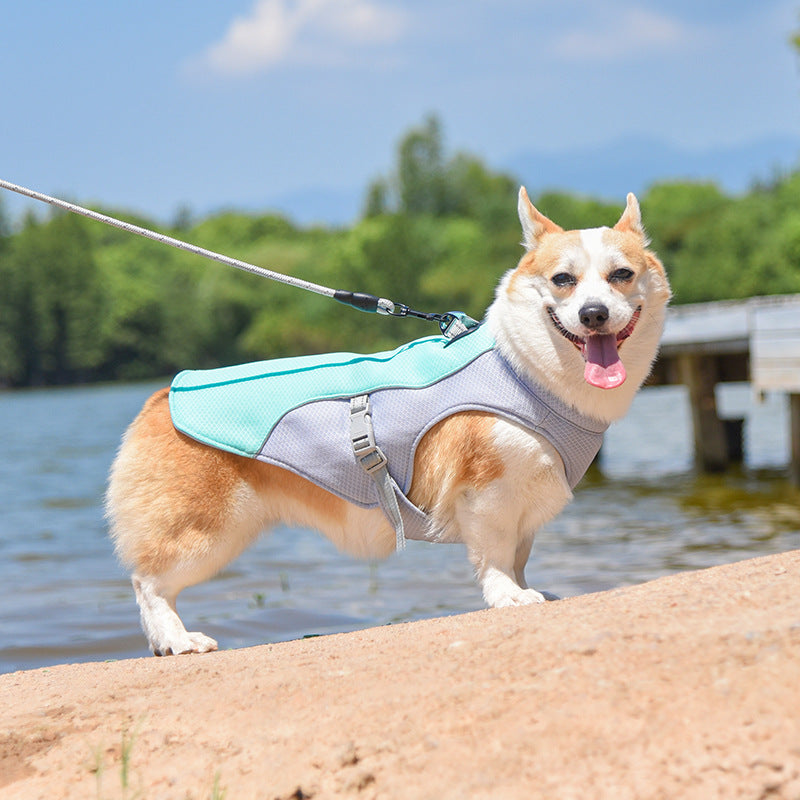 Chaleco transpirable para la prevención de la insolación de agua para el agua de enfriamiento de perros