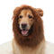 Costume de chien à crinière de lion – Parfait pour Halloween et les occasions amusantes