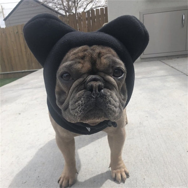 Capucha para perros de vellón con orejas de oso: ropa de invierno divertida y acogedora