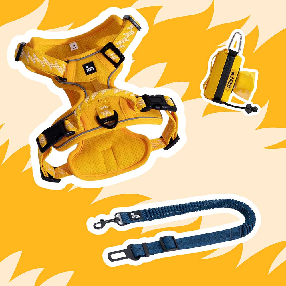 Yellow & Blue - Be Seen Walking Kit - 3pcs