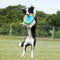 Frisbee de chien de tissu d'Oxford durable de jouet interactif extérieur de chien