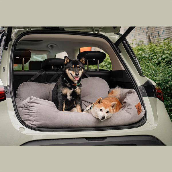 Camino de asiento trasero de carro de seguridad para refuerzo