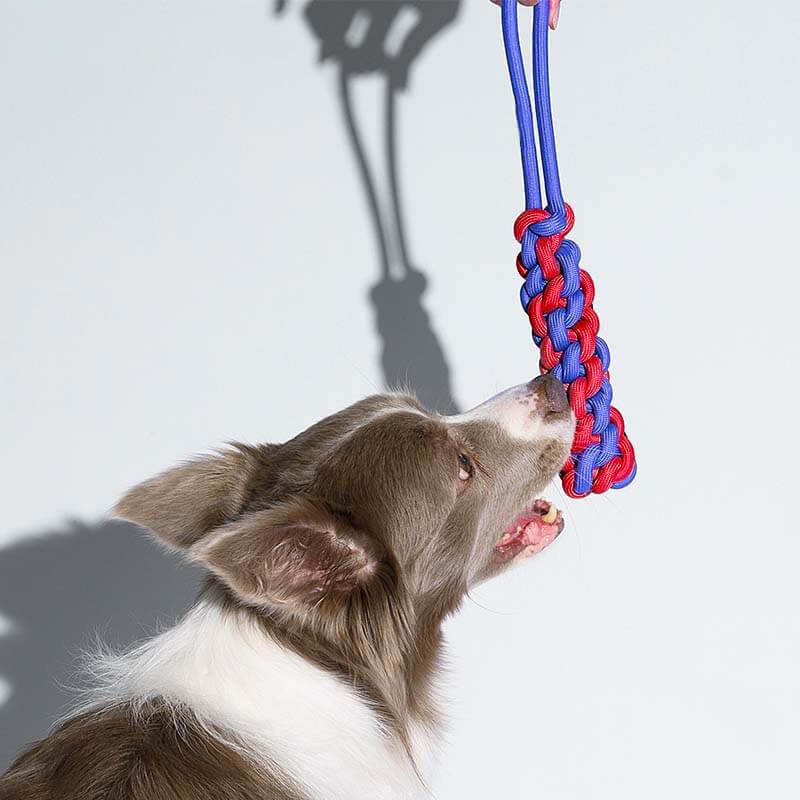 Juguete para perros con forma de palo de cuerda trenzada - <tc>Color</tc> Choque