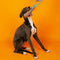 Juguete para perros con forma de palo de cuerda trenzada - <tc>Color</tc> Choque