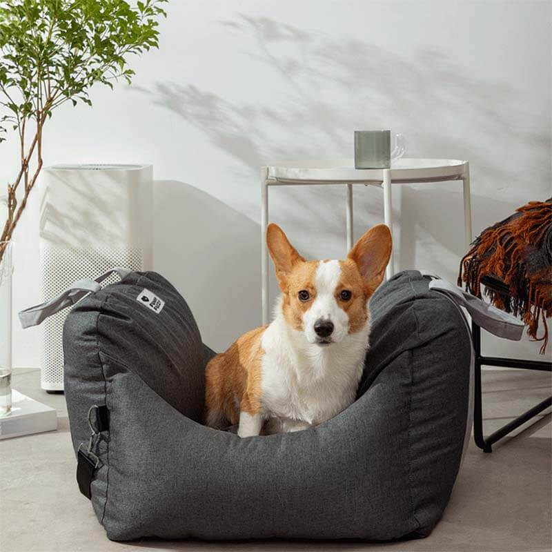 Cama para el asiento del automóvil del perro - Primera clase