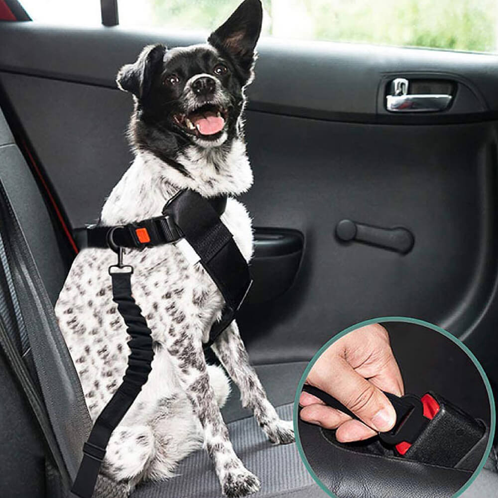 Accesorios para perros fríos ajustables de búfer cinturón de seguridad para el automóvil