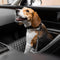 Accesorios para perros fríos ajustables de búfer cinturón de seguridad para el automóvil