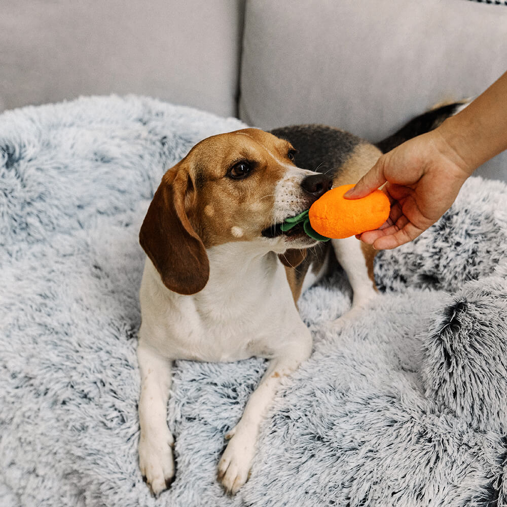 Muebles de muebles calmantes Cama para perros - respaldo difuso