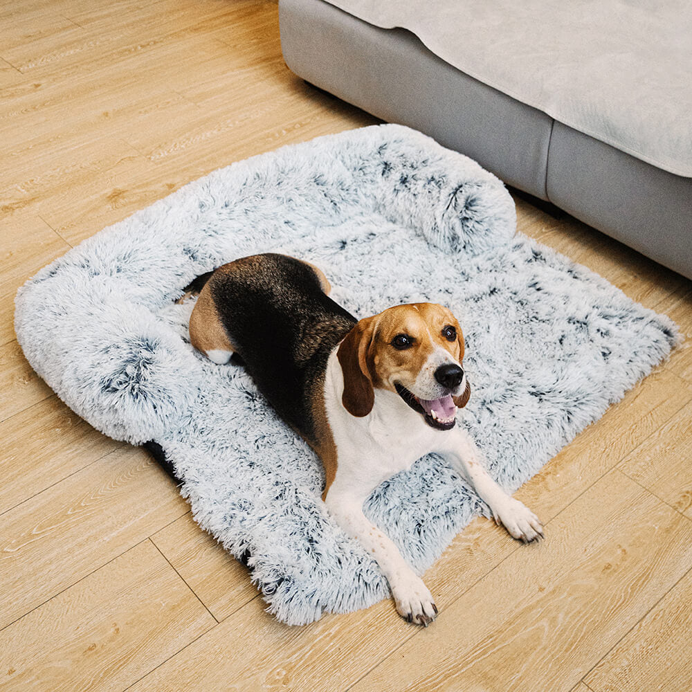 Muebles de muebles calmantes Cama para perros - respaldo difuso