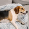 Muebles de muebles calmantes Cama para perros - respaldo difuso