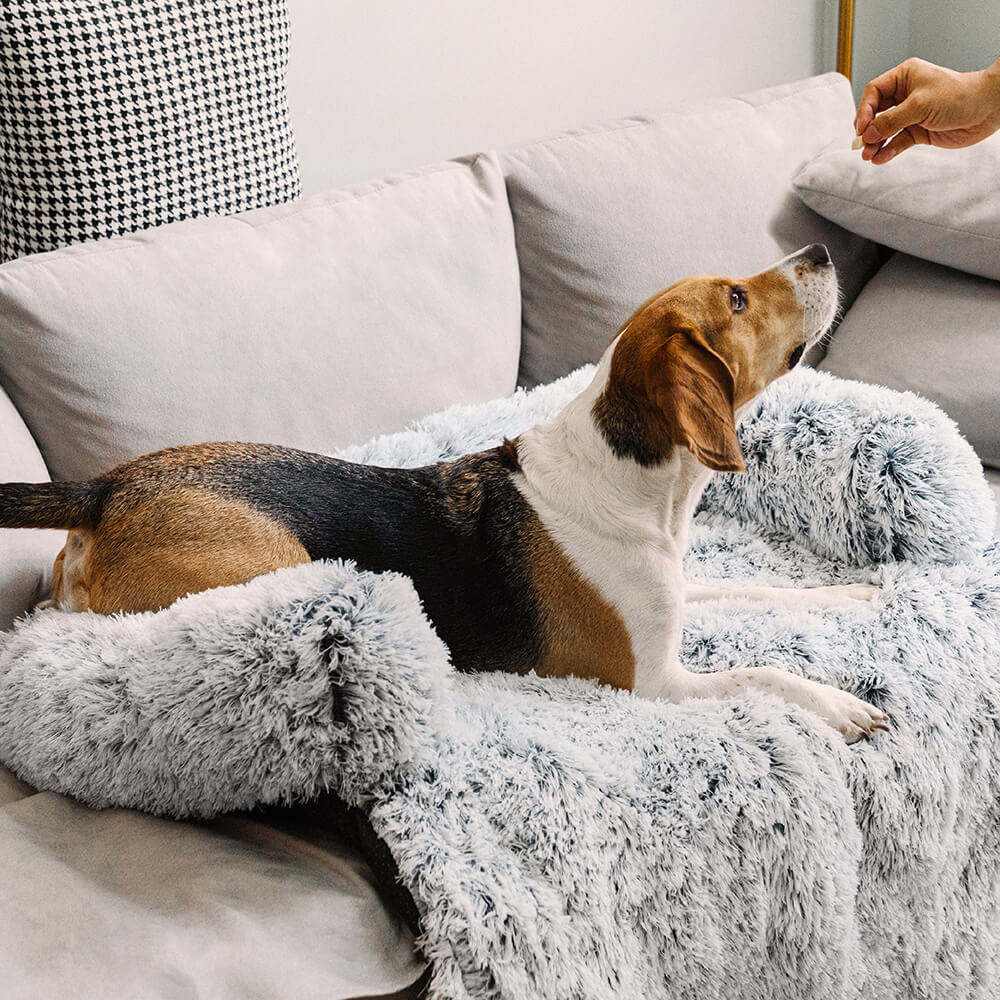Muebles de muebles calmantes Cama para perros - respaldo difuso