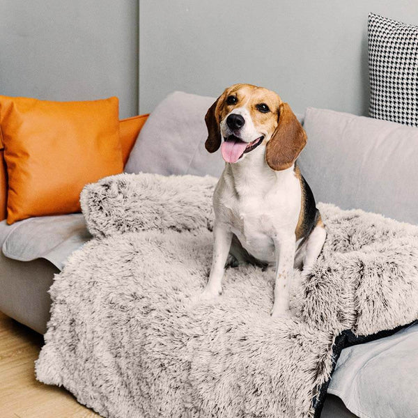 Muebles de muebles calmantes Cama para perros - respaldo difuso