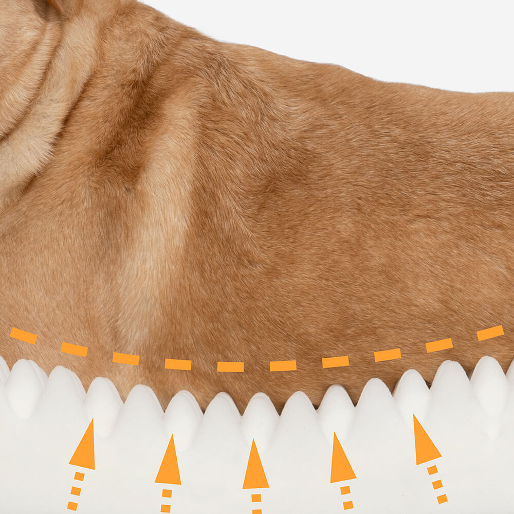 Luxury súper grande cama para perros humano con manta súper suave de lanzamiento de mascotas