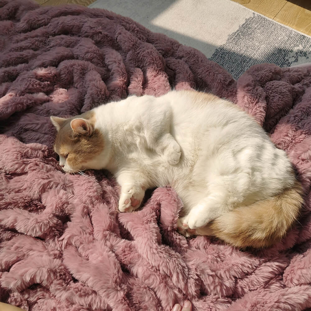 Super Soft Faux Fur & Velvet Luxury Pet Shrow Maneta humana