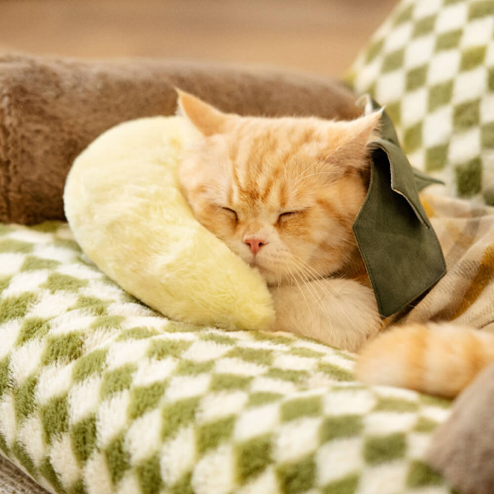 Moda Linda almohada de mascotas acogedoras