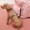 Cama de asiento para el automóvil para perros impermeable - Primera clase