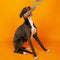Juego de juguetes de cuerda con nudos para perros - <tc>Color</tc> Choque