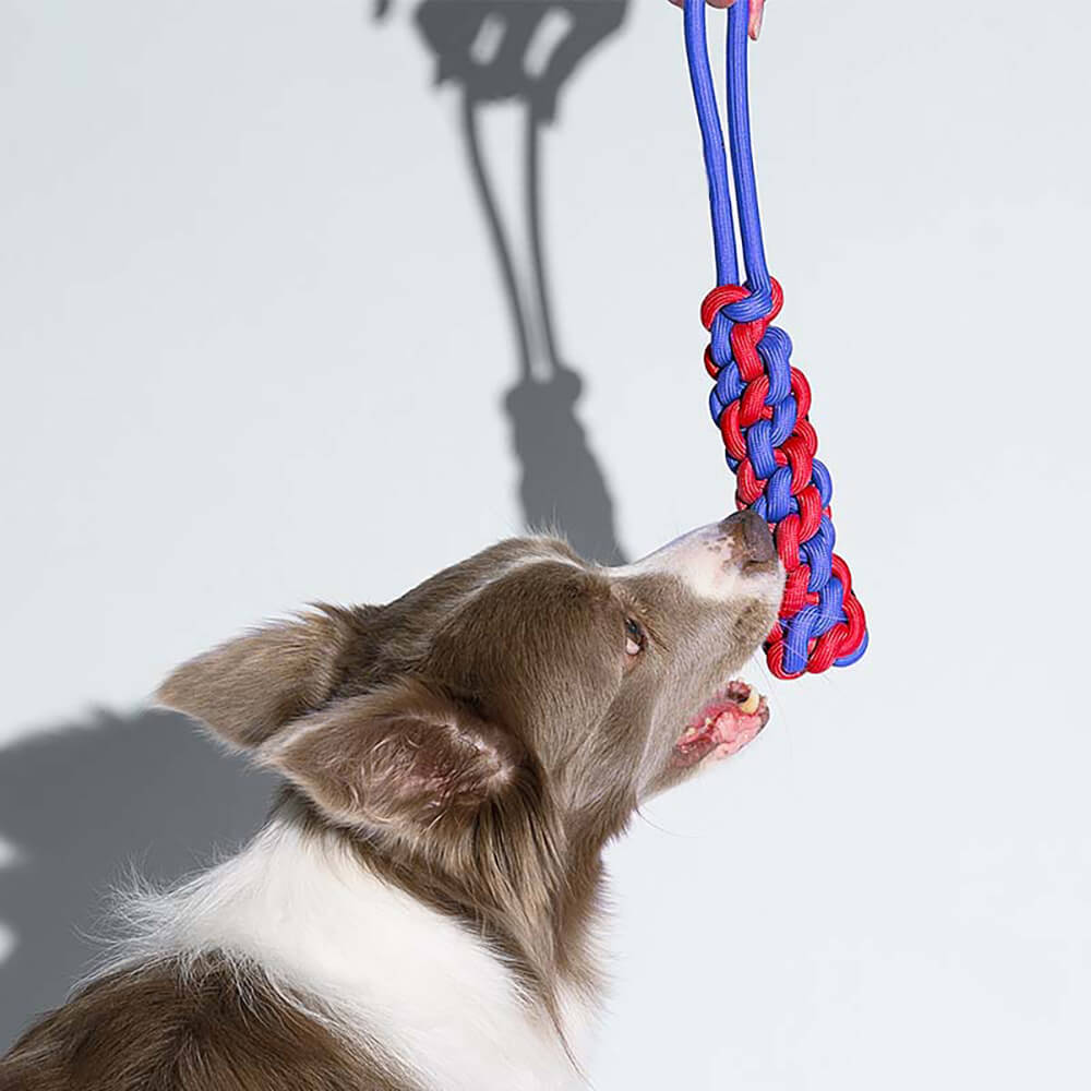 Juego de juguetes de cuerda con nudos para perros - <tc>Color</tc> Choque