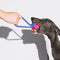 Juego de juguetes de cuerda con nudos para perros - <tc>Color</tc> Choque
