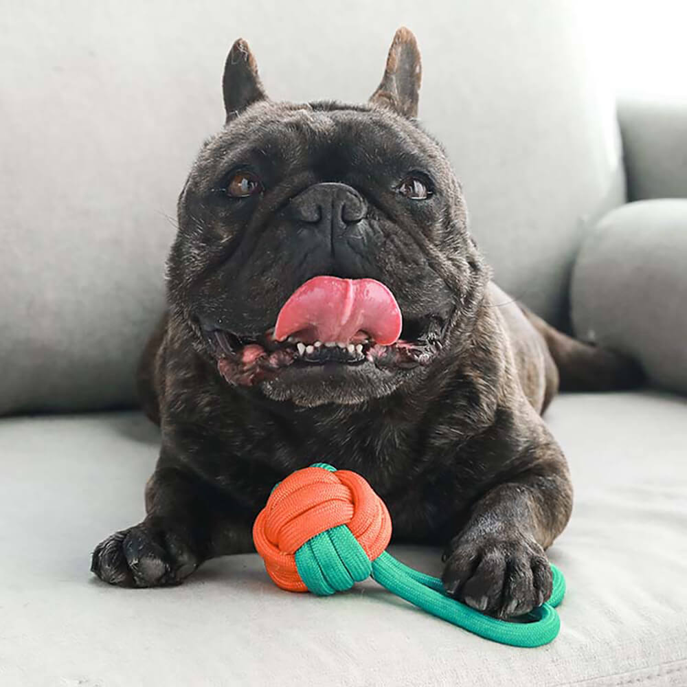 Juego de juguetes de cuerda con nudos para perros - <tc>Color</tc> Choque