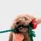 Juguete de perro chillido de lujoso - Strawberry en maceta
