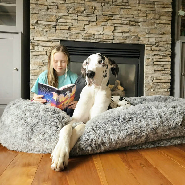 Luxury súper grande sueño cama oval más profunda cama humana de perro