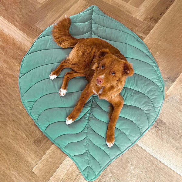 Manta de perro de forma de hoja