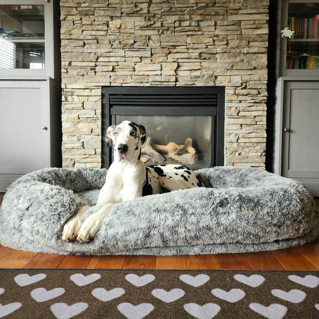 Luxury súper grande sueño cama oval más profunda cama humana de perro